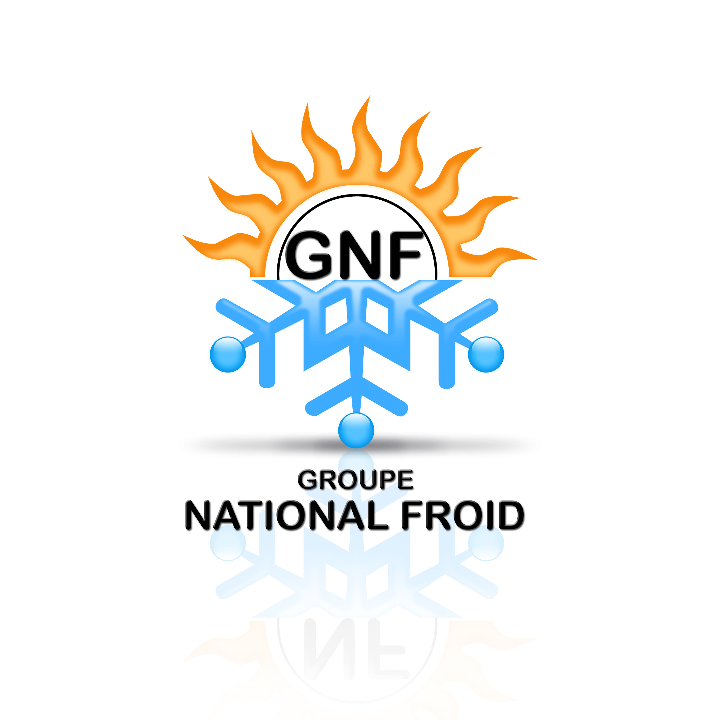paris clim 19eme GNF